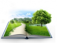 Природоохранная акция «Берегите лес»