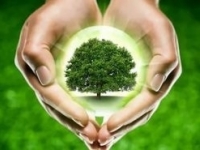 Международный день лесов